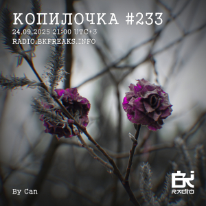 Копилочка