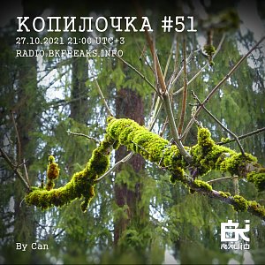 Копилочка