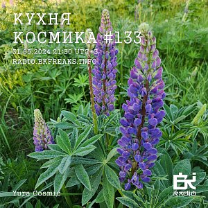 Кухня Космика