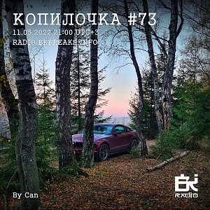 Копилочка