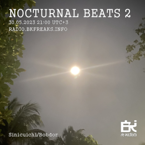 Nocturnal Beats 2