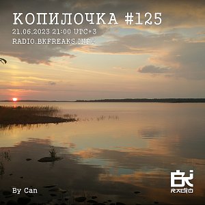 Копилочка