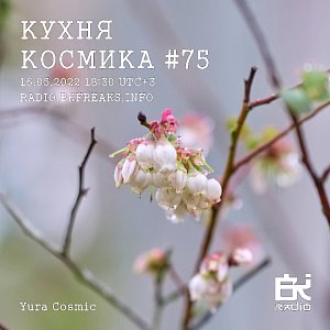 Кухня Космика
