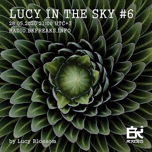Lucy in the sky