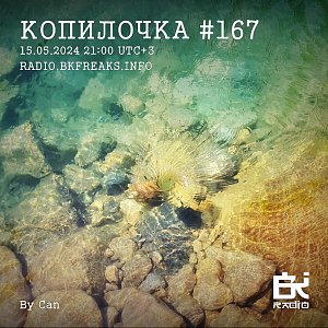 Копилочка