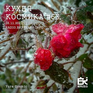 Кухня Космика