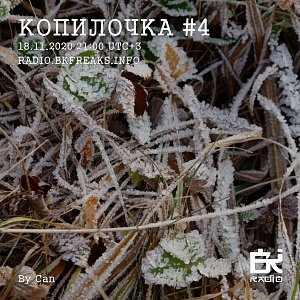 Копилочка