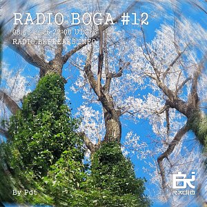 Radio Boga