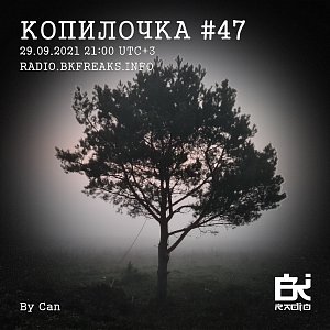 Копилочка