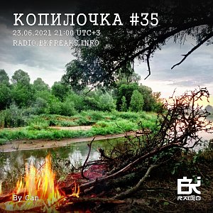 Копилочка