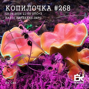 Копилочка