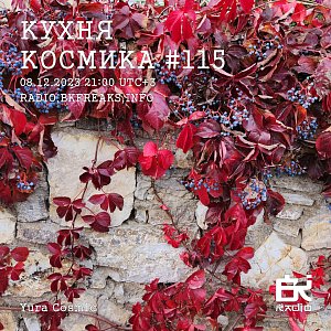 Кухня Космика