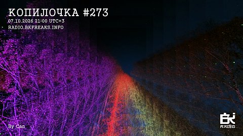 Копилочка