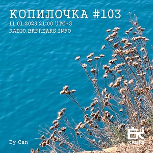 Копилочка