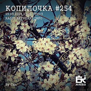 Копилочка