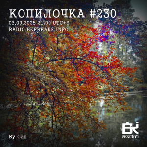 Копилочка