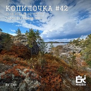 Копилочка