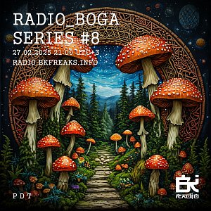 Radio_Boga series