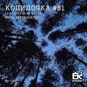Копилочка