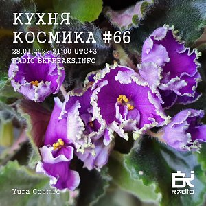 Кухня Космика