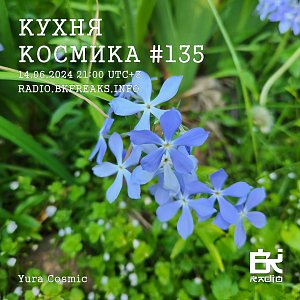 Кухня Космика