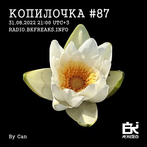 Копилочка