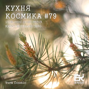 Кухня Космика