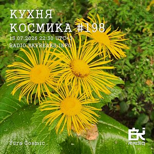 Кухня Космика