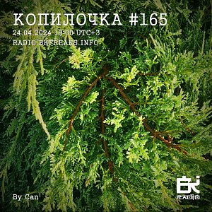 Копилочка