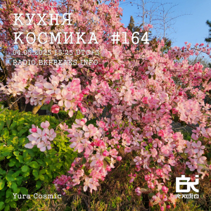 Кухня Космика 