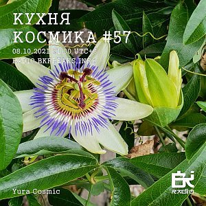 Кухня Космика