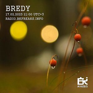 Bredy