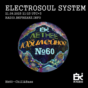 Electrosoul System