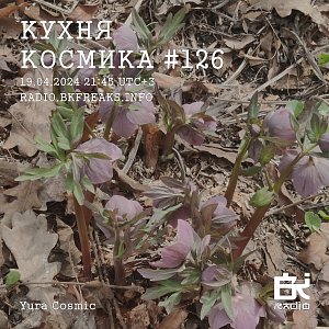 Кухня Космика