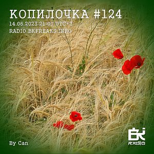 Копилочка
