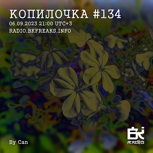 Копилочка