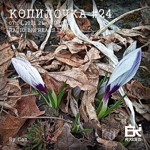 Копилочка