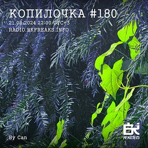 Копилочка