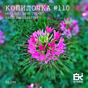Копилочка