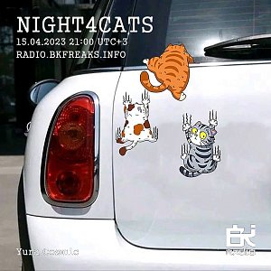 Night4Cats
