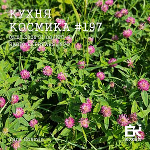 Кухня Космика