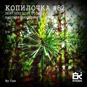 Копилочка