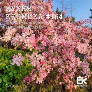 Кухня Космика