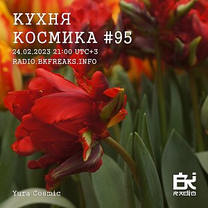 Кухня Космика