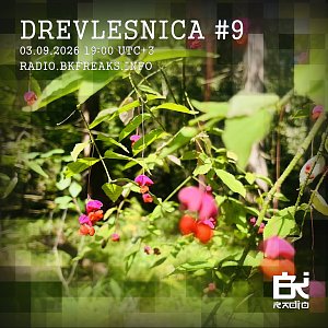 Drevlesnica