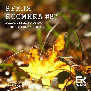 Кухня Космика