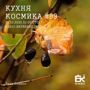 Кухня Космика