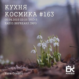 Кухня Космика