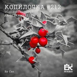 Копилочка