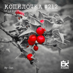Копилочка